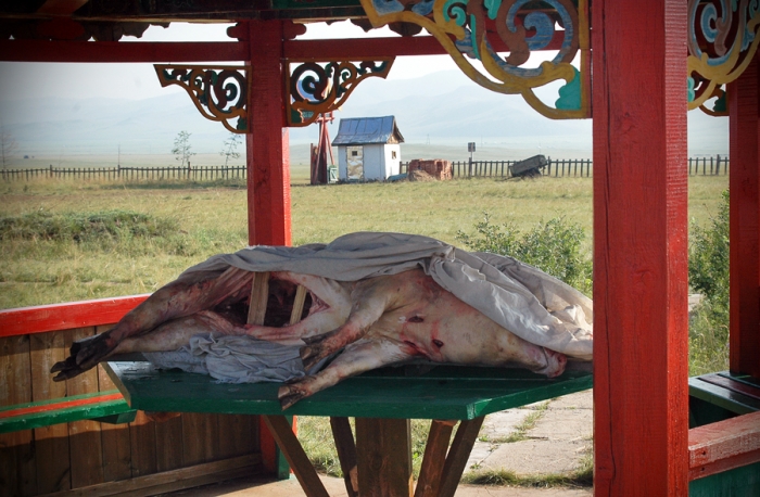 mongolia_2011_4