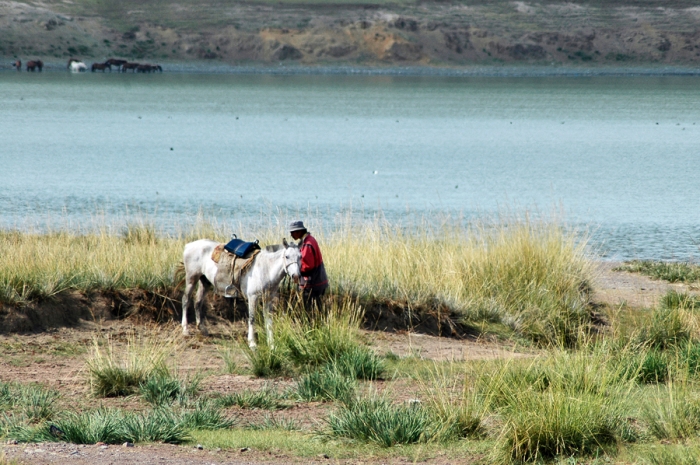 mongolia_2011_13