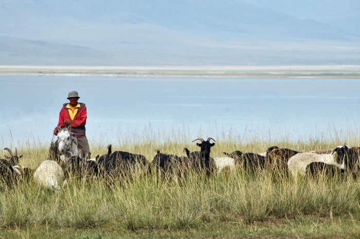 mongolia_2011_14