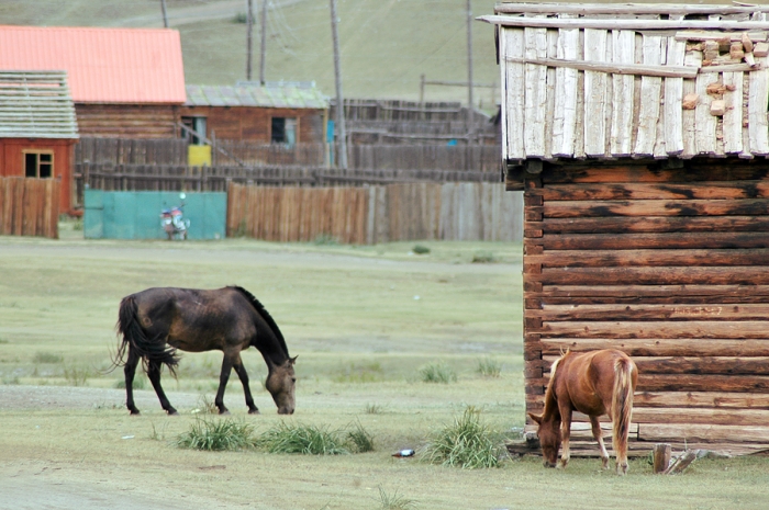 mongolia_2011_17