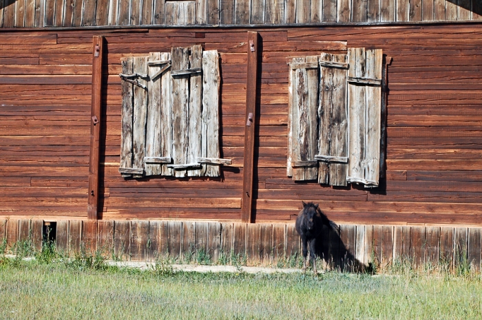 mongolia_2011_91