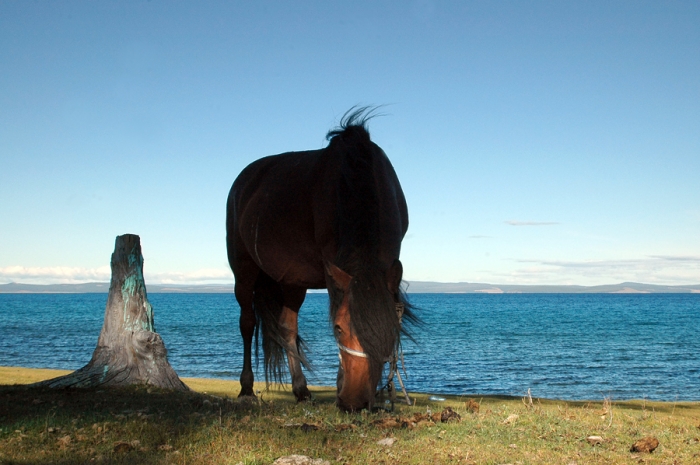 mongolia_2011_94