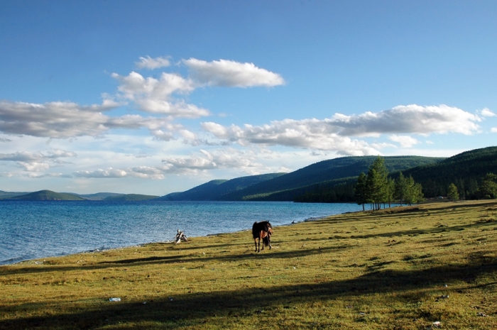 mongolia_2011_99