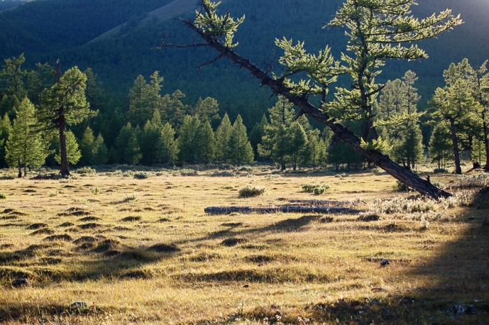 mongolia_2011_104