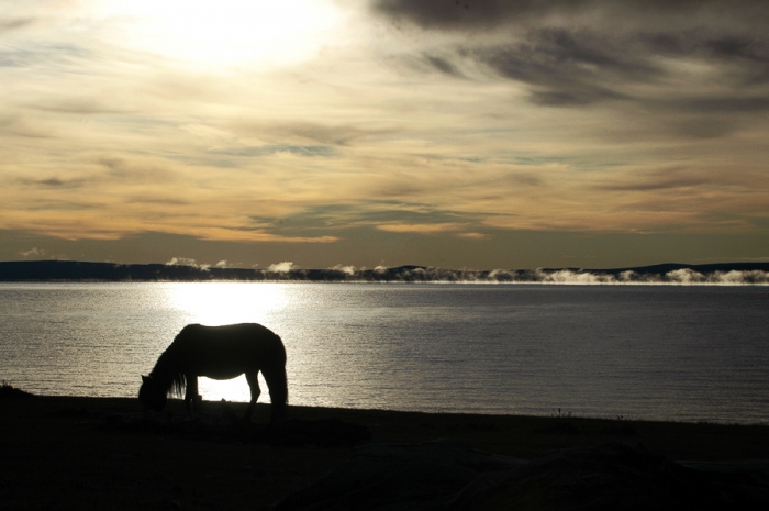 mongolia_2011_110