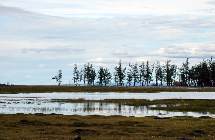 mongolia_2011_114
