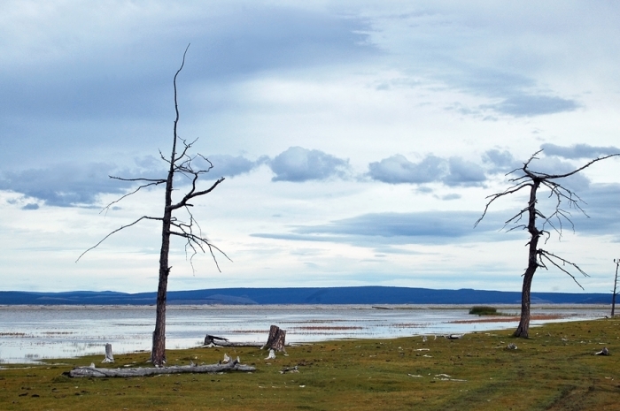 mongolia_2011_121
