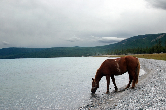 mongolia_2011_124