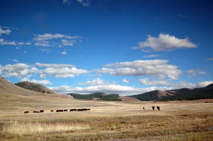 mongolia_2011_133