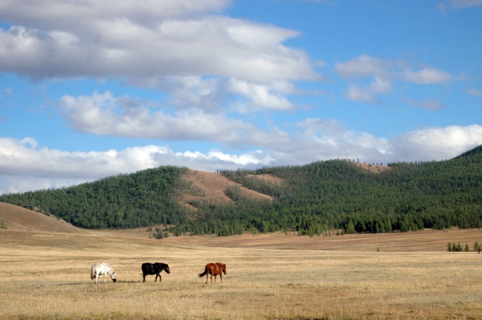 mongolia_2011_134