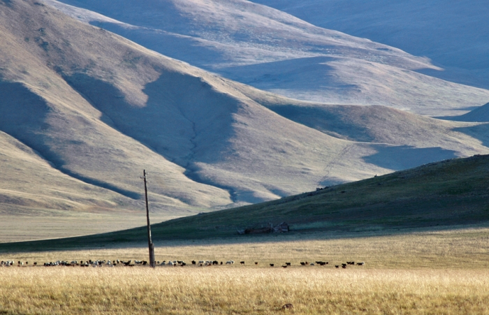mongolia_2011_139