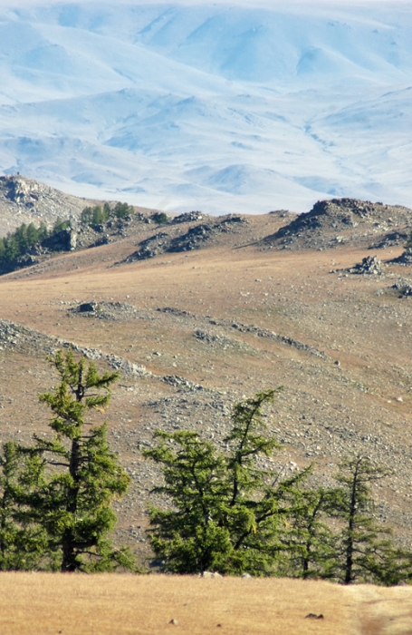 mongolia_2011_152