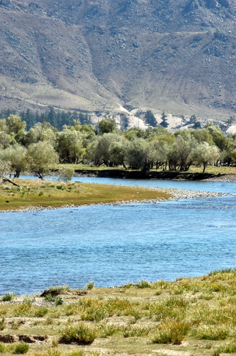 mongolia_2011_167