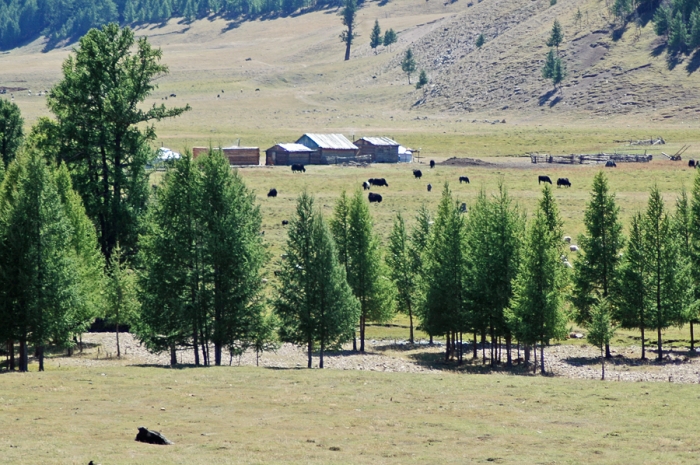 mongolia_2011_181