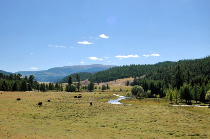 mongolia_2011_182