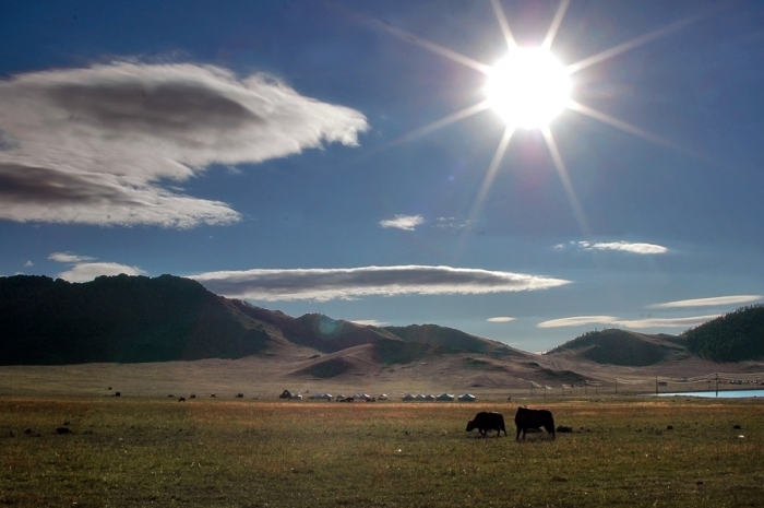 mongolia_2011_190
