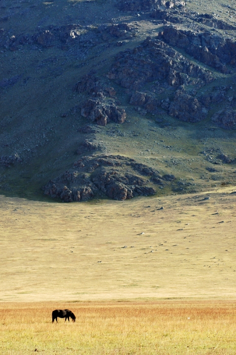 mongolia_2011_191