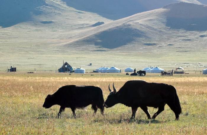 mongolia_2011_192