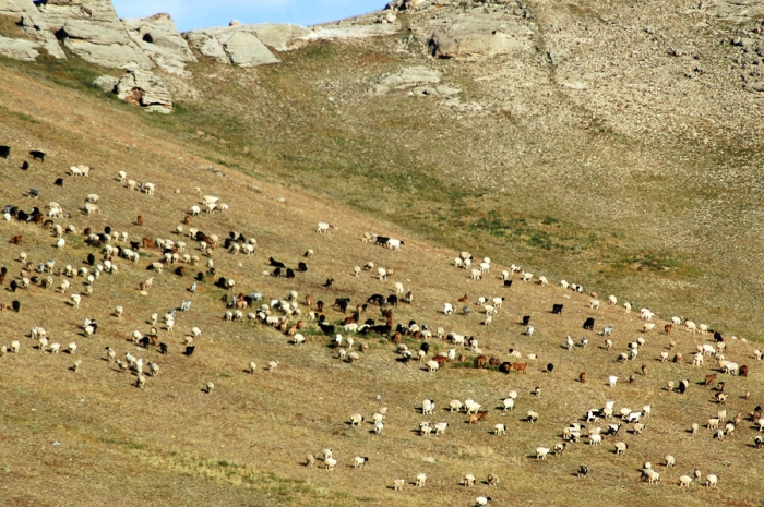 mongolia_2011_193