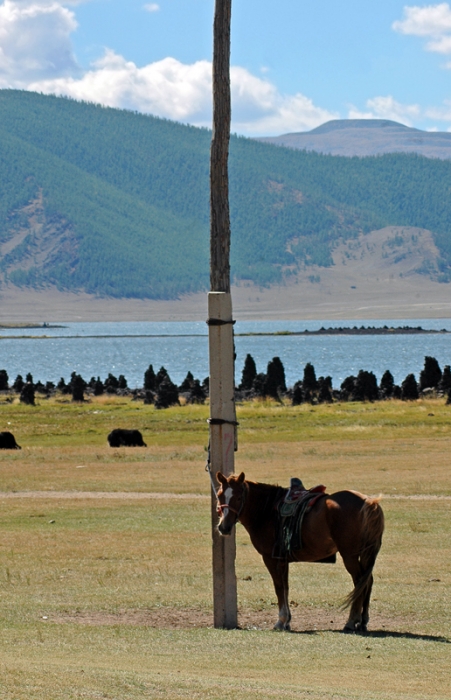 mongolia_2011_197