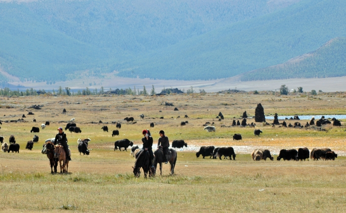 mongolia_2011_198