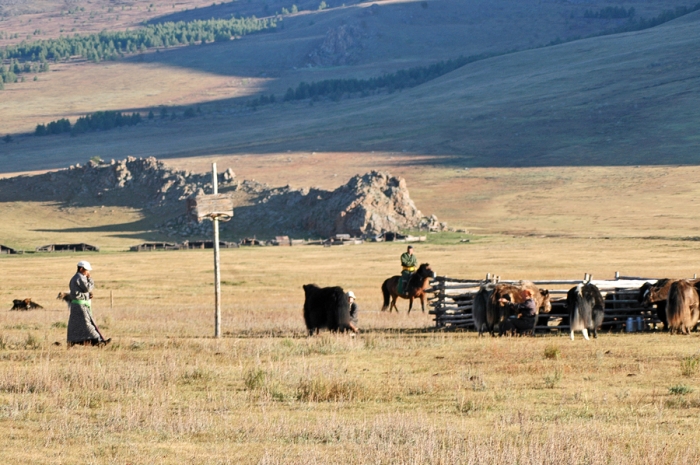 mongolia_2011_201