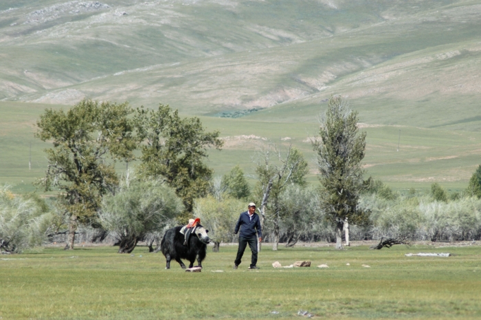mongolia_2011_249