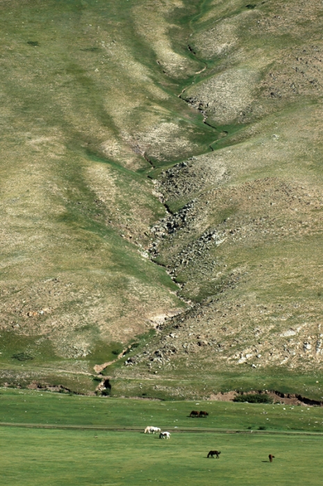 mongolia_2011_264