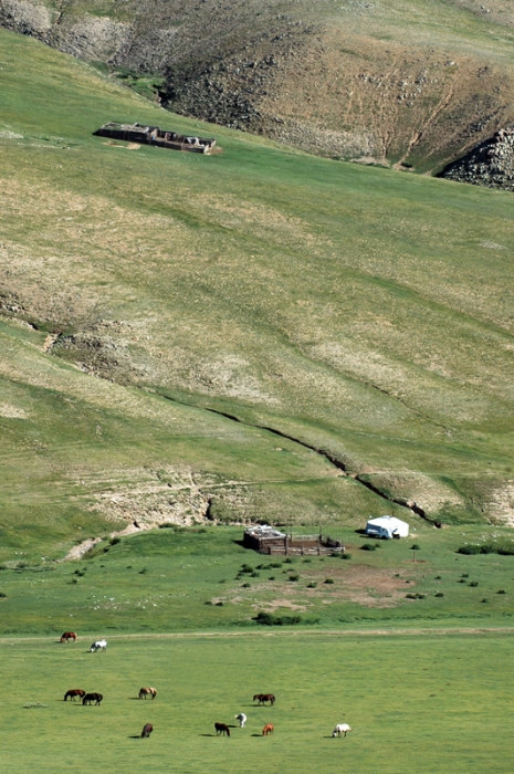 mongolia_2011_266