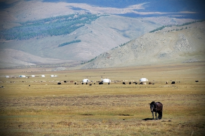 mongolia_19