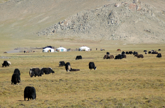 mongolia_26