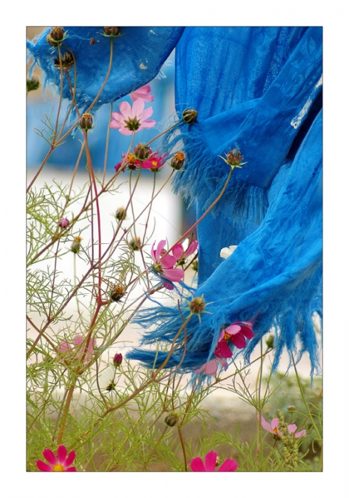 mongolia_117