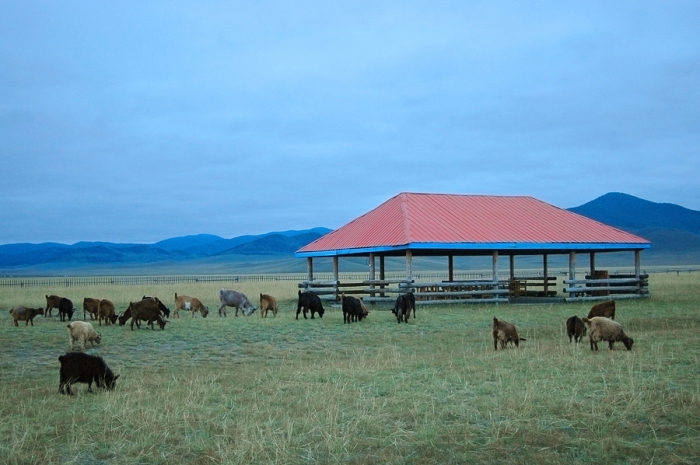 mongolia_122