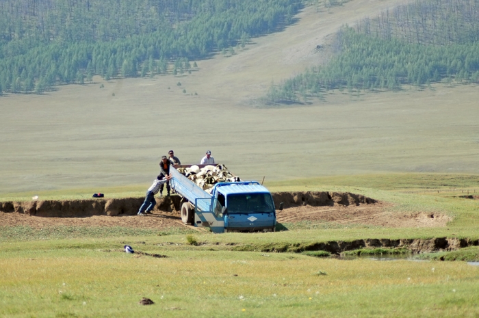 mongolia_135