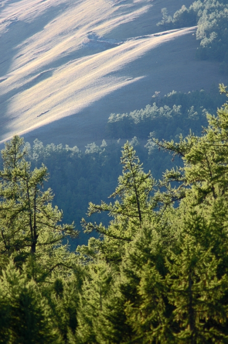 mongolia_2011_101